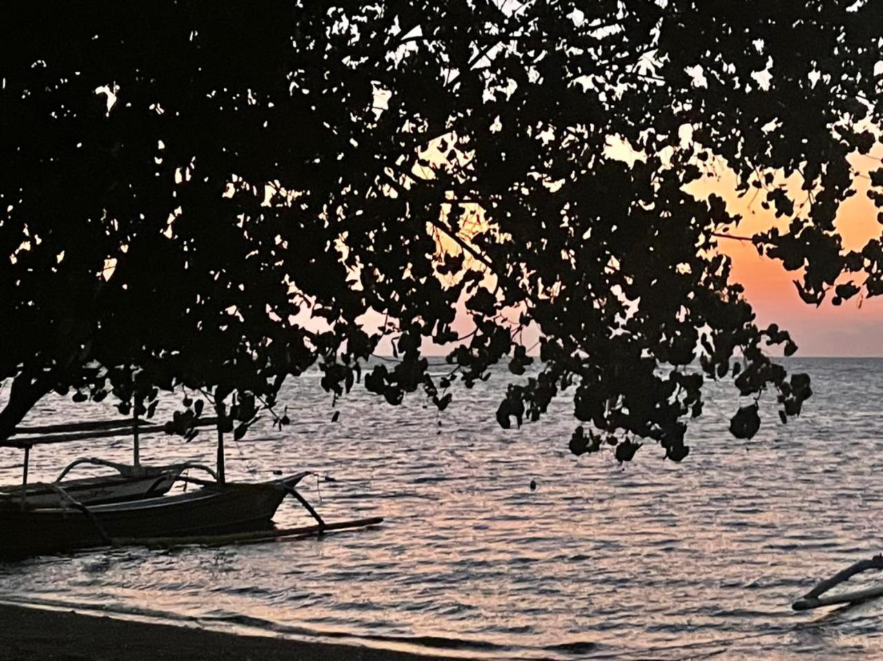 Shady Grove Healing Centre & Homestay W House Rules Please Read Before Booking Sanur Zewnętrze zdjęcie