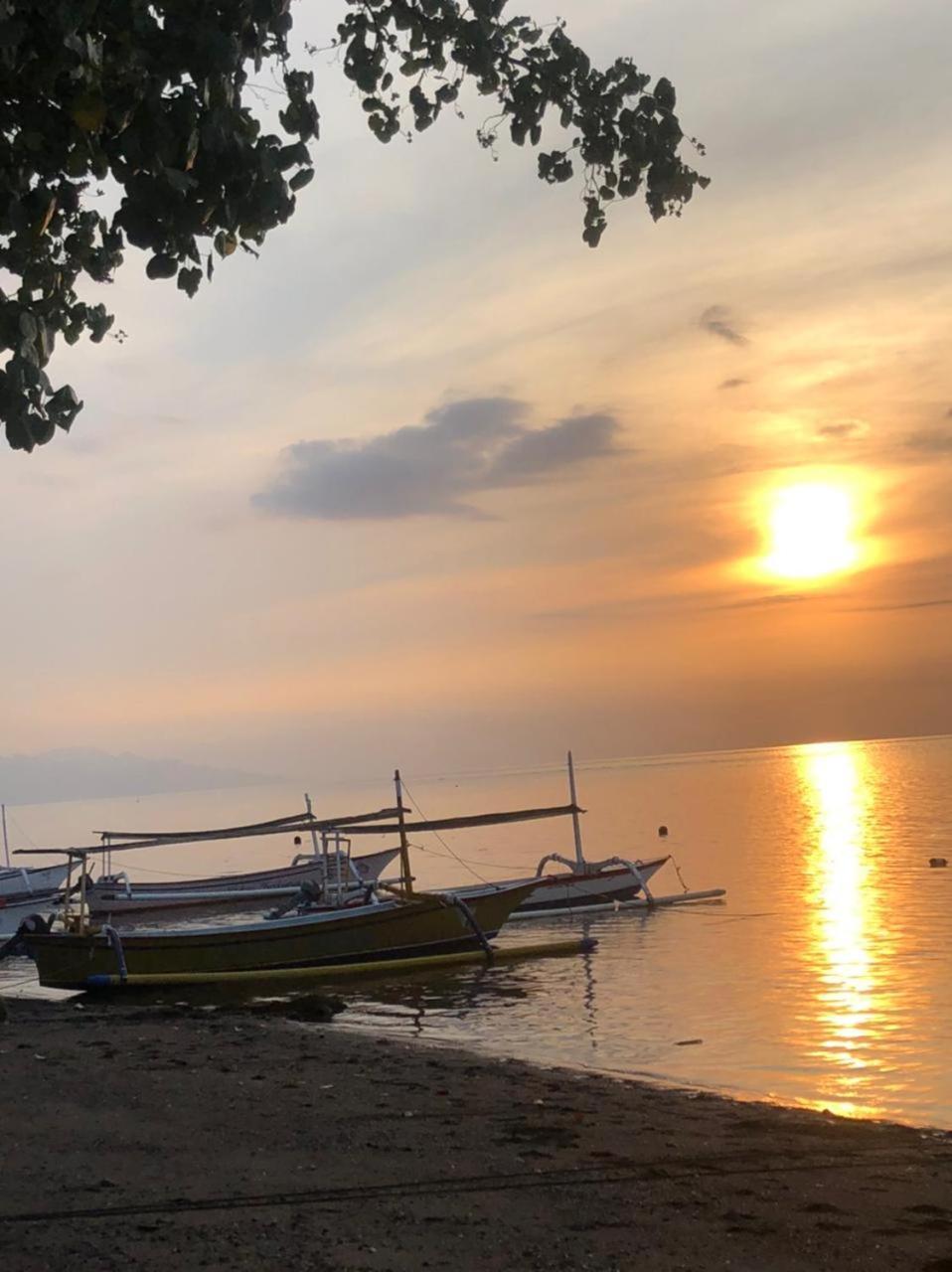 Shady Grove Healing Centre & Homestay W House Rules Please Read Before Booking Sanur Zewnętrze zdjęcie