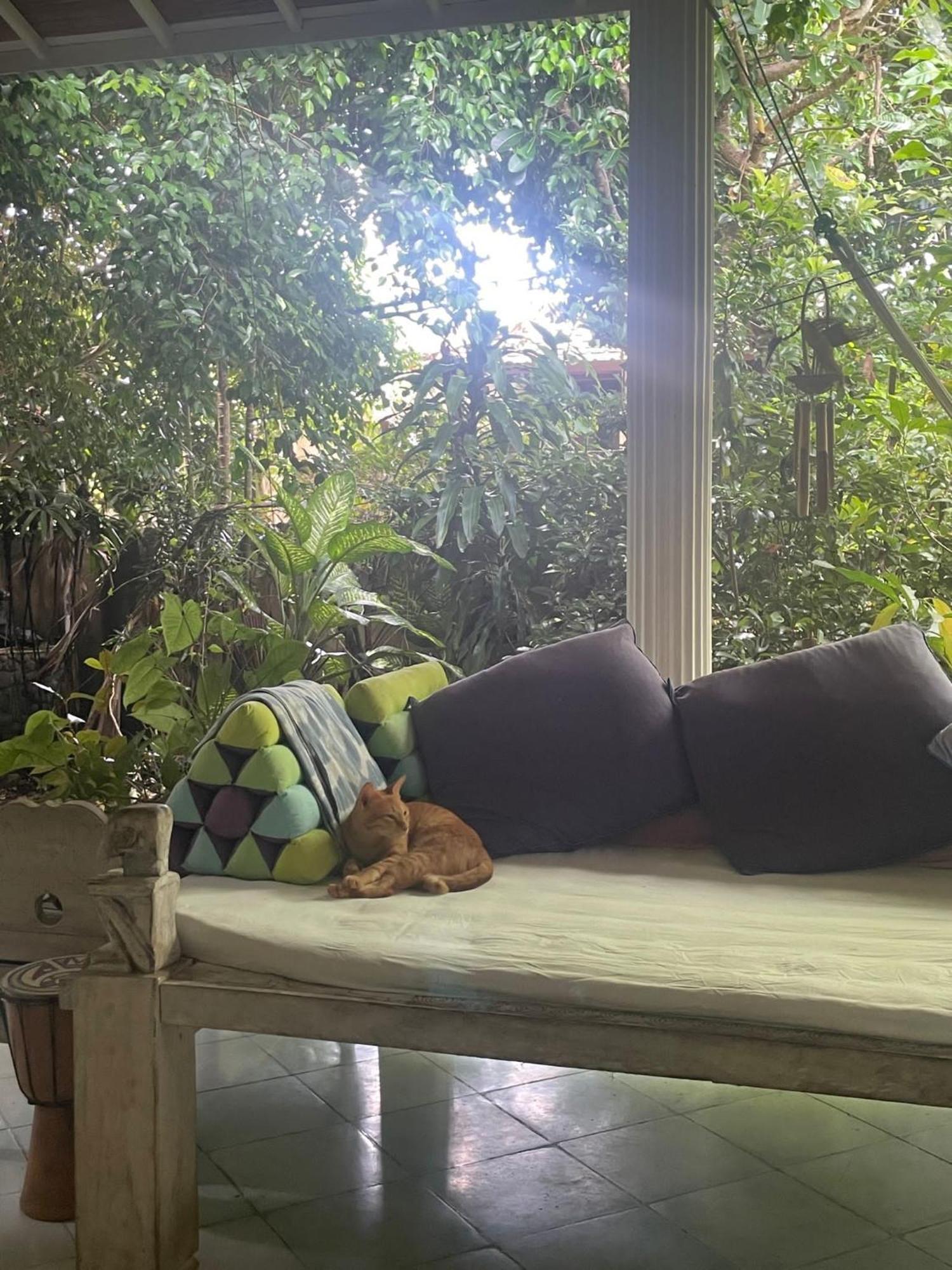Shady Grove Healing Centre & Homestay W House Rules Please Read Before Booking Sanur Zewnętrze zdjęcie