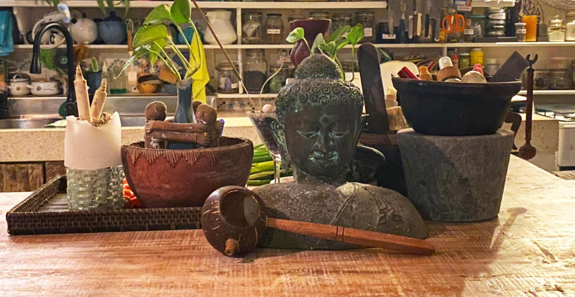 Shady Grove Healing Centre & Homestay W House Rules Please Read Before Booking Sanur Zewnętrze zdjęcie
